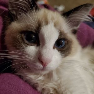 Meet your Posher, Tina